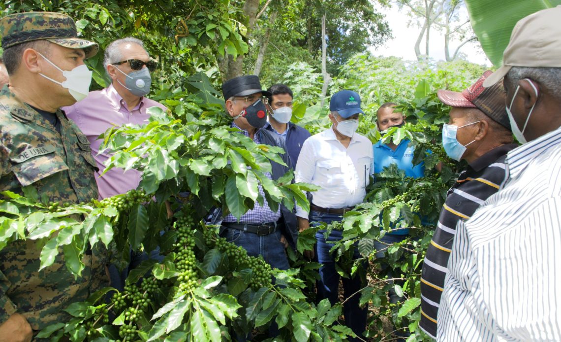 Danilo supervisa proyectos agroforestales