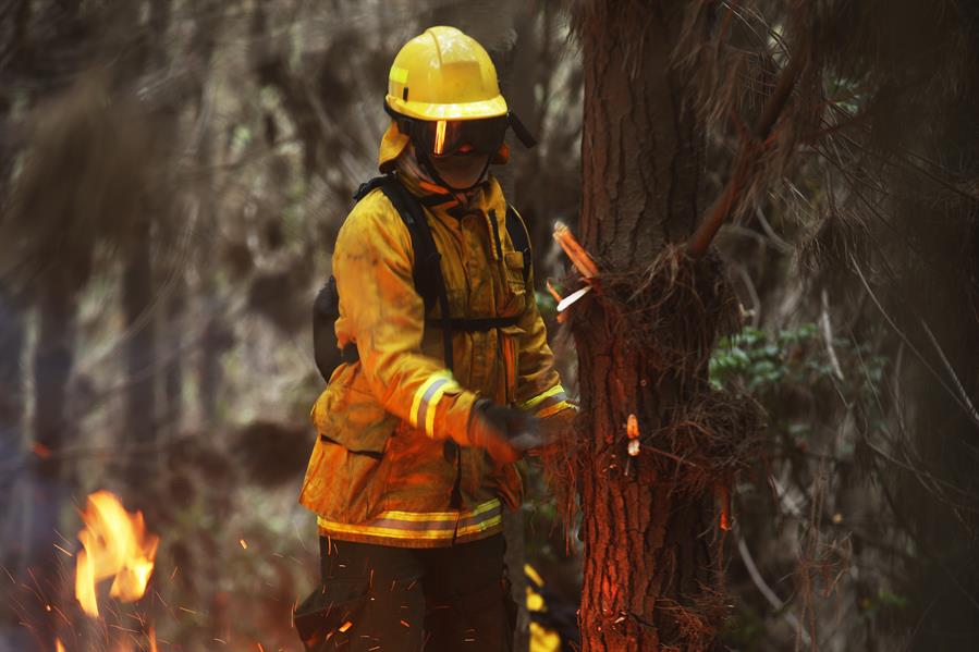 Incendio forestal el Perú