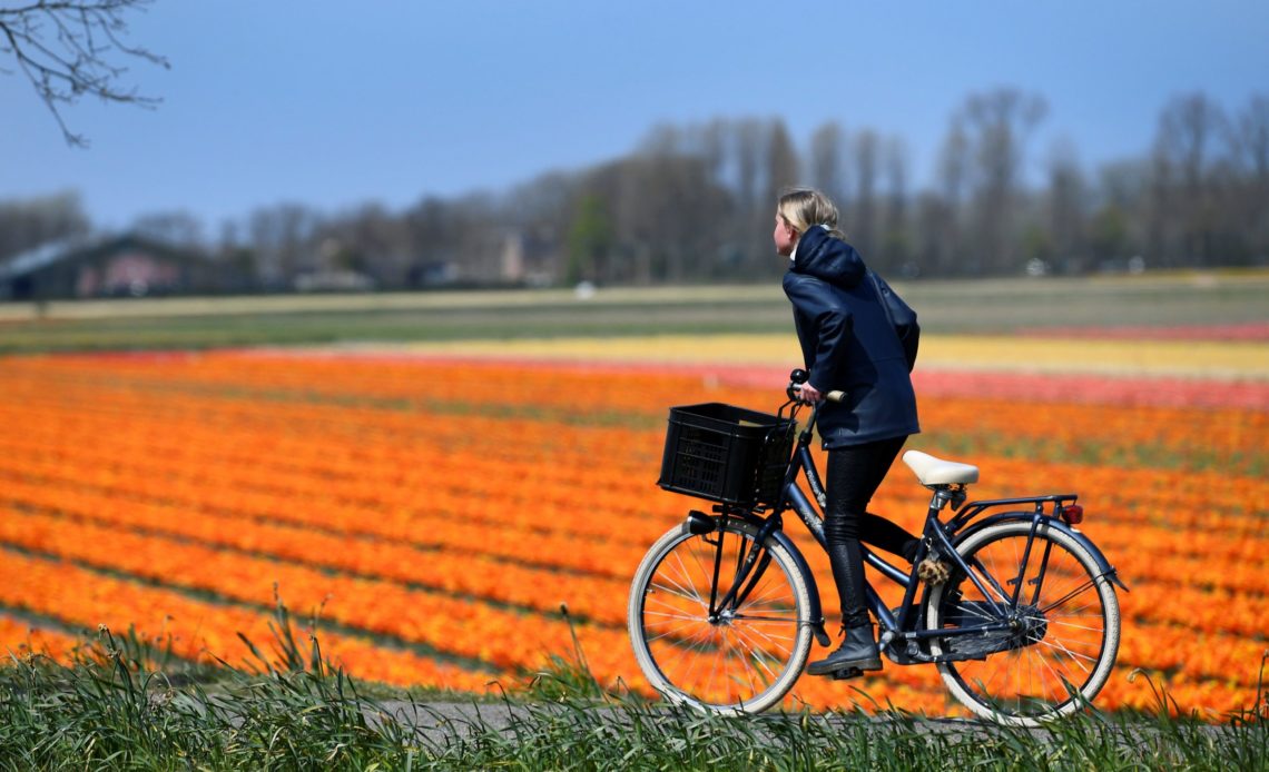 Día Mundial de la Bicicleta