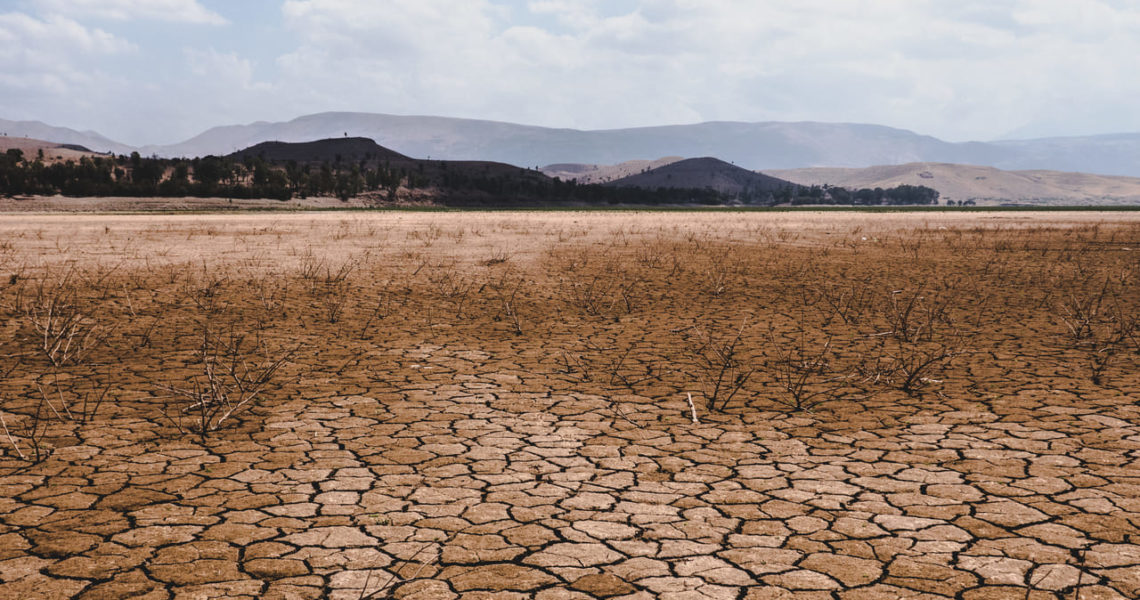 cambio climatico