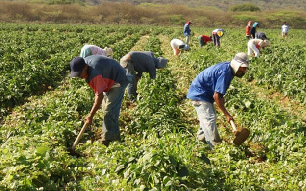 Más de 13 mil productores agropecuarios se beneficiarán con financiamiento aprobado por el BCIE