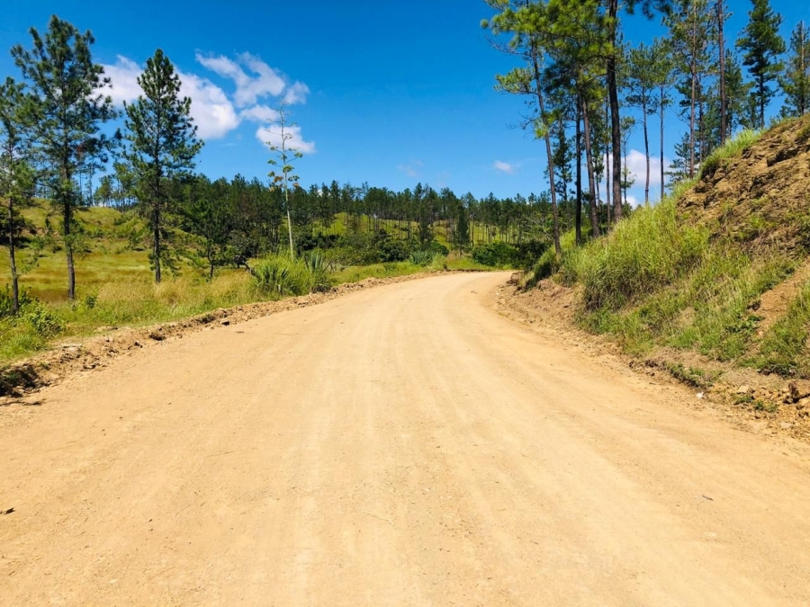 Desarrollo Fronterizo concluye acondicionamiento de la Carretera Internacional