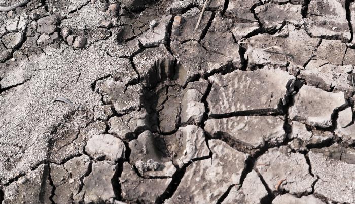 Más de 200 científicos mundiales evaluarán en España la salud de la tierra