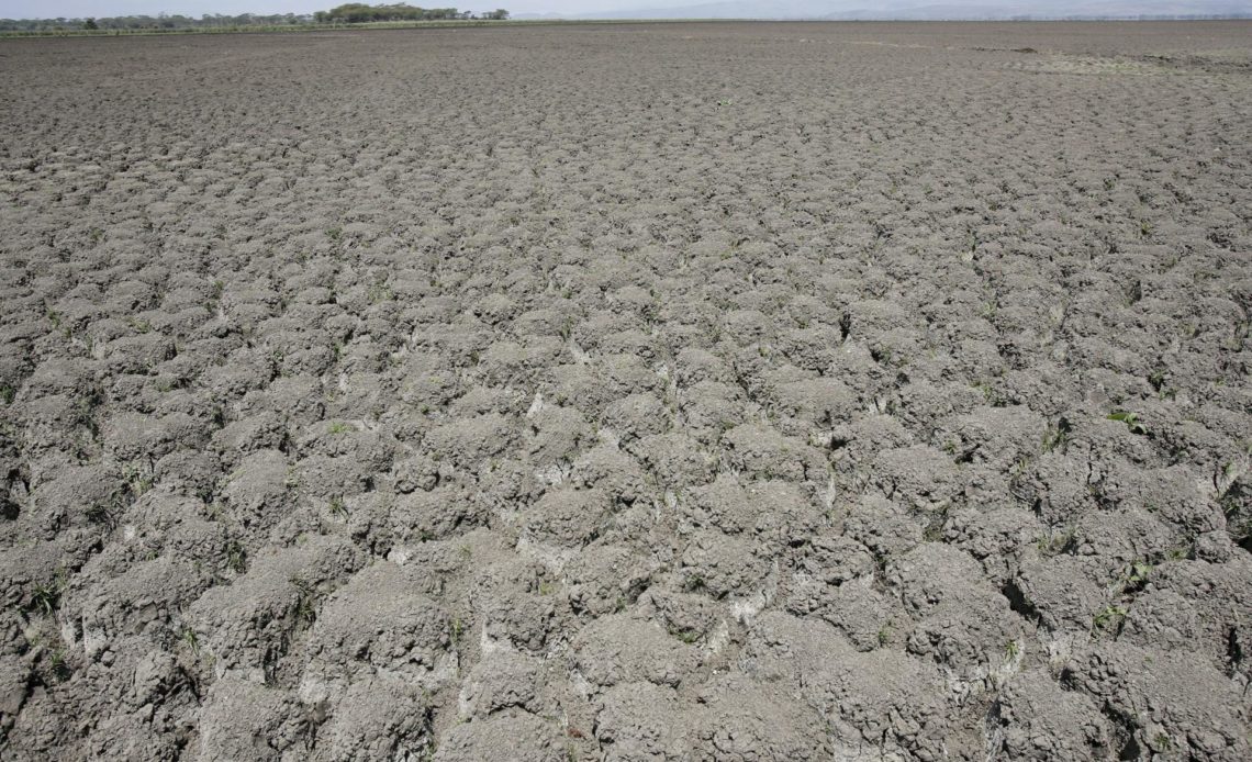 Impacto del cambio climático en África empeorará este 2023 y en los próximos años, por lo que urge que los países ricos hagan efectivas sus promesas de fondos para la adaptación de las naciones más pobres y vulnerables, advirtió hoy el Programa de las Naciones Unidas para el Medioambiente (PNUMA).