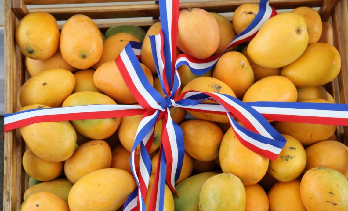 Anuncian feria "Expo Mango 2024" a celebrarse en Baní