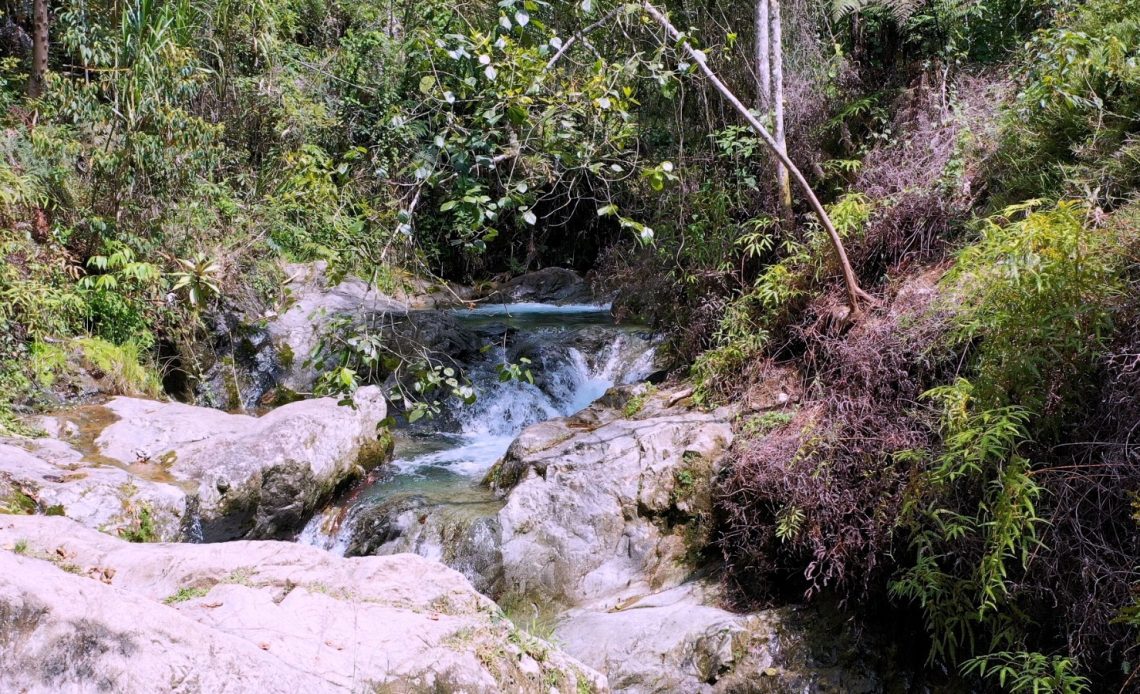 Medio Ambiente recuerda a ciudadanía la importancia de cuidar la naturaleza en Semana Santa