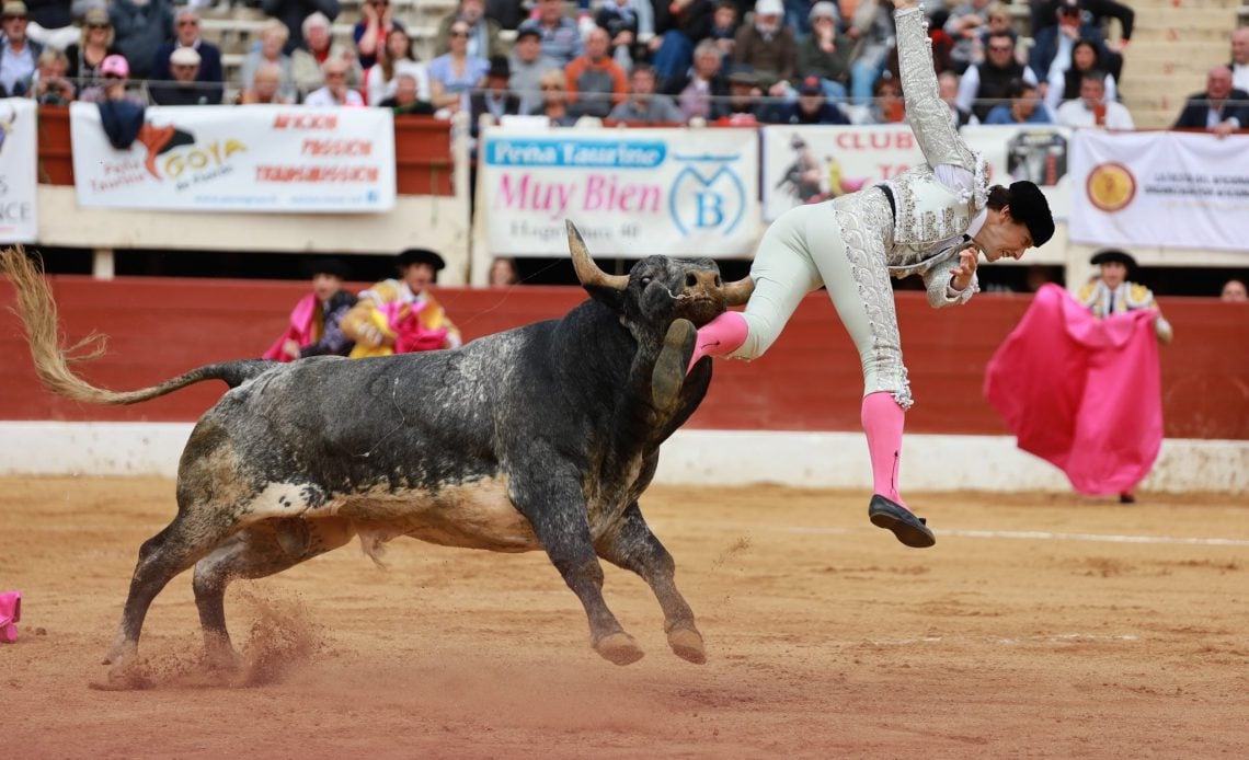 Matador Román Collado