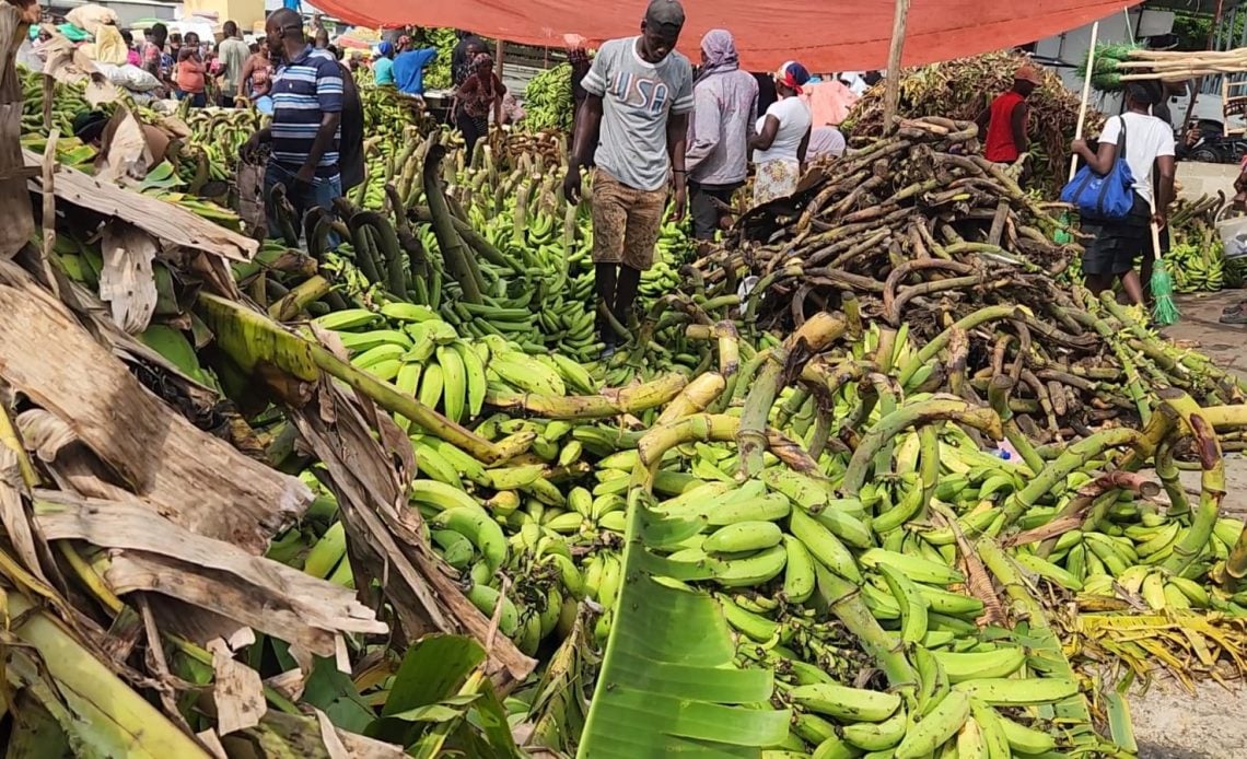 Vendedores de plátanos de Dajabón dicen que prohibición de exportación hacia Haití los llevará a la quiebra