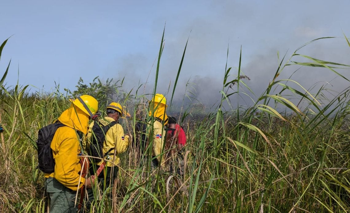Bomberos forestales y guardaparques extinguieron el incendio en Cabarete y Goleta