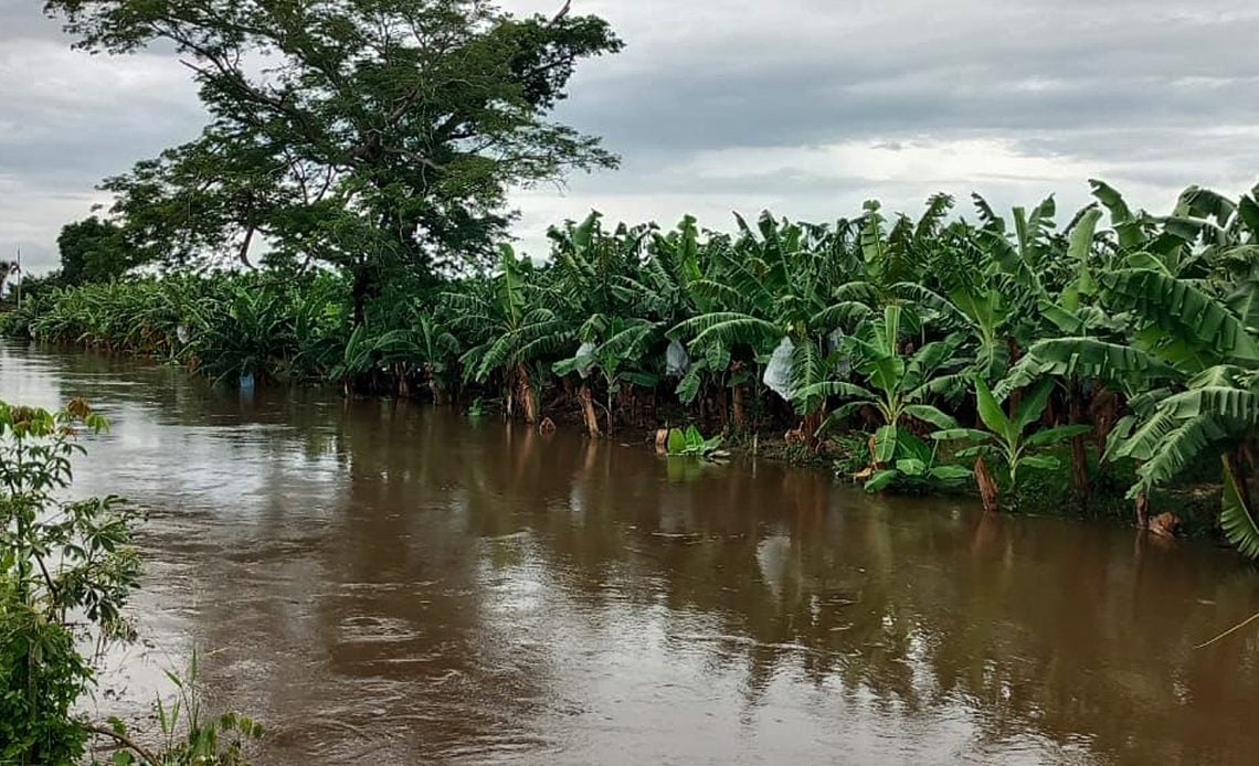 Agricultores de la frontera sur de México urgen declaración de "desastre" por las lluvias